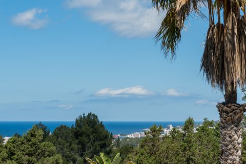 Finca i Benimussa, Ibiza, Benimussa - € 3.200.000 | Ref: MUDITA-BOTANICA - foto 2